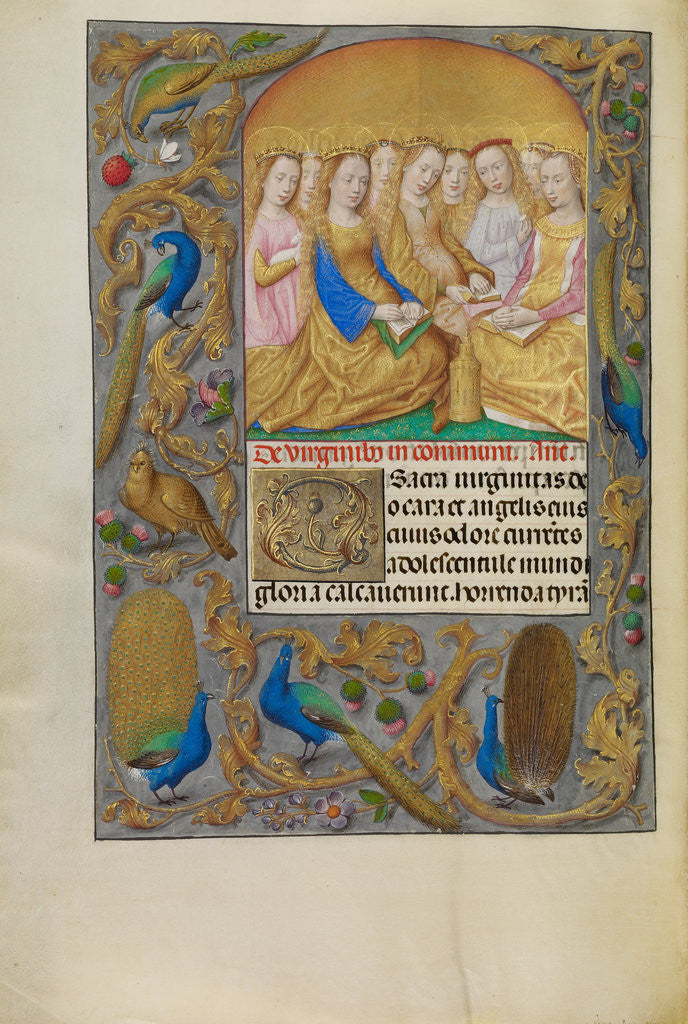 Detail of Virgin Saints by Workshop of Master of the First Prayer Book of Maximilian