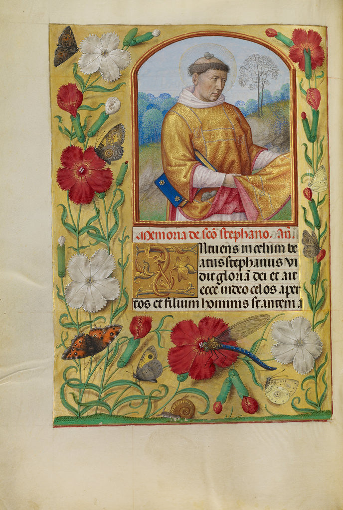 Detail of Saint Stephen by Workshop of Master of the First Prayer Book of Maximilian