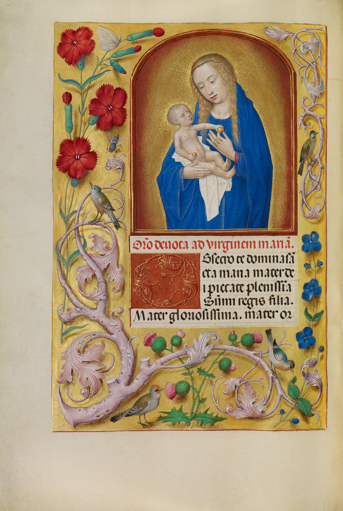 Detail of The Virgin and Child by Workshop of Master of the First Prayer Book of Maximilian