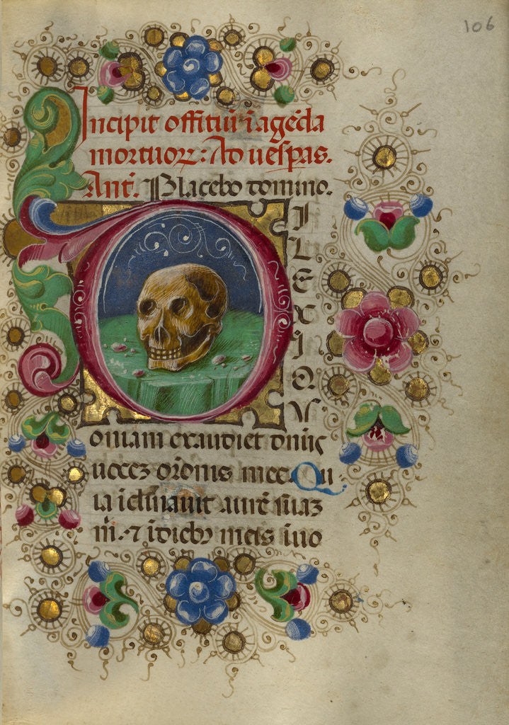 Detail of Initial D: A Skull in a Rocky Field by Taddeo Crivelli
