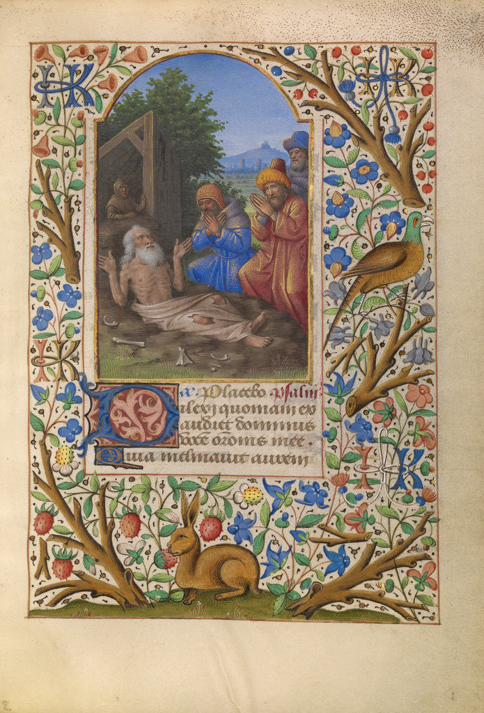 Detail of Job on the Dung Heap by Jean Bourdichon