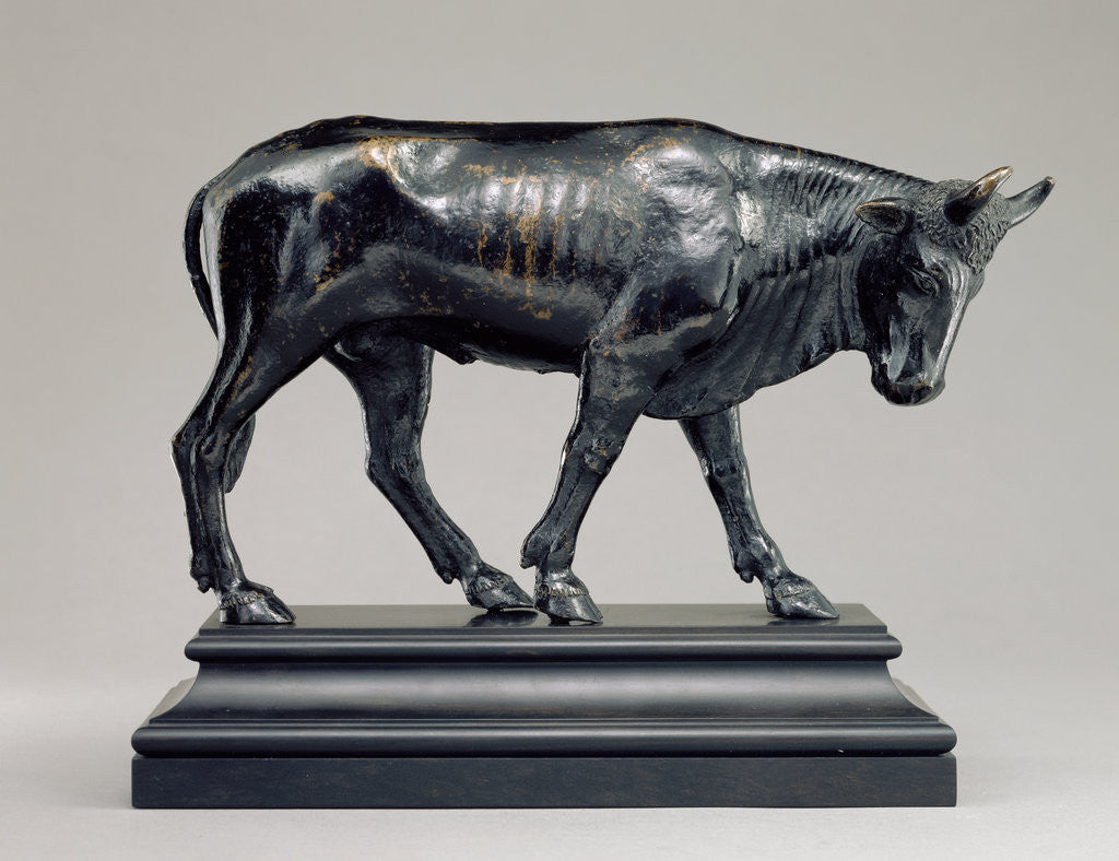 Detail of Bull with Lowered Head by Anonymous