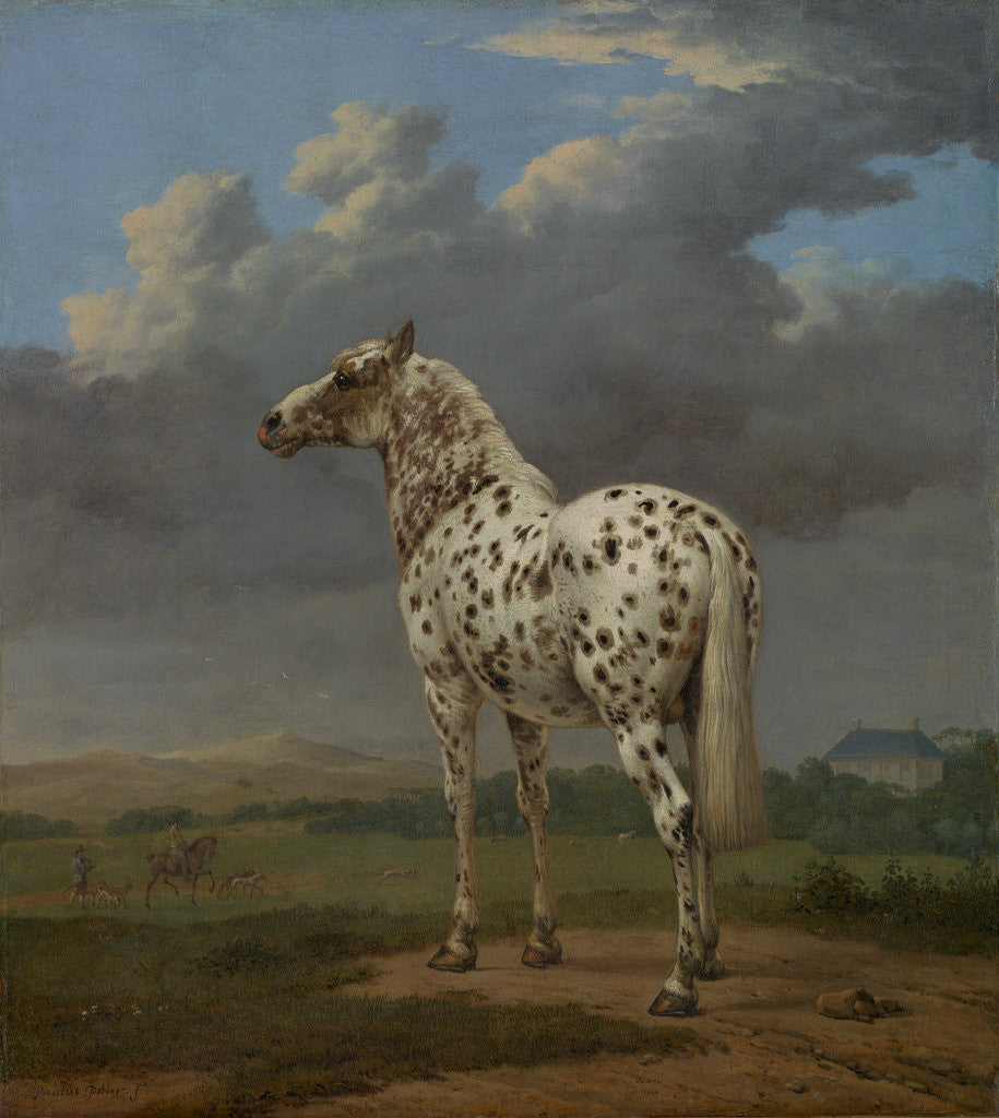 Detail of The Piebald Horse by Paulus Potter