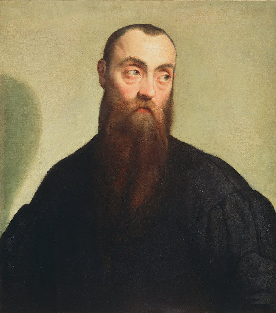 Detail of Portrait of a Bearded Man by Jacopo Bassano