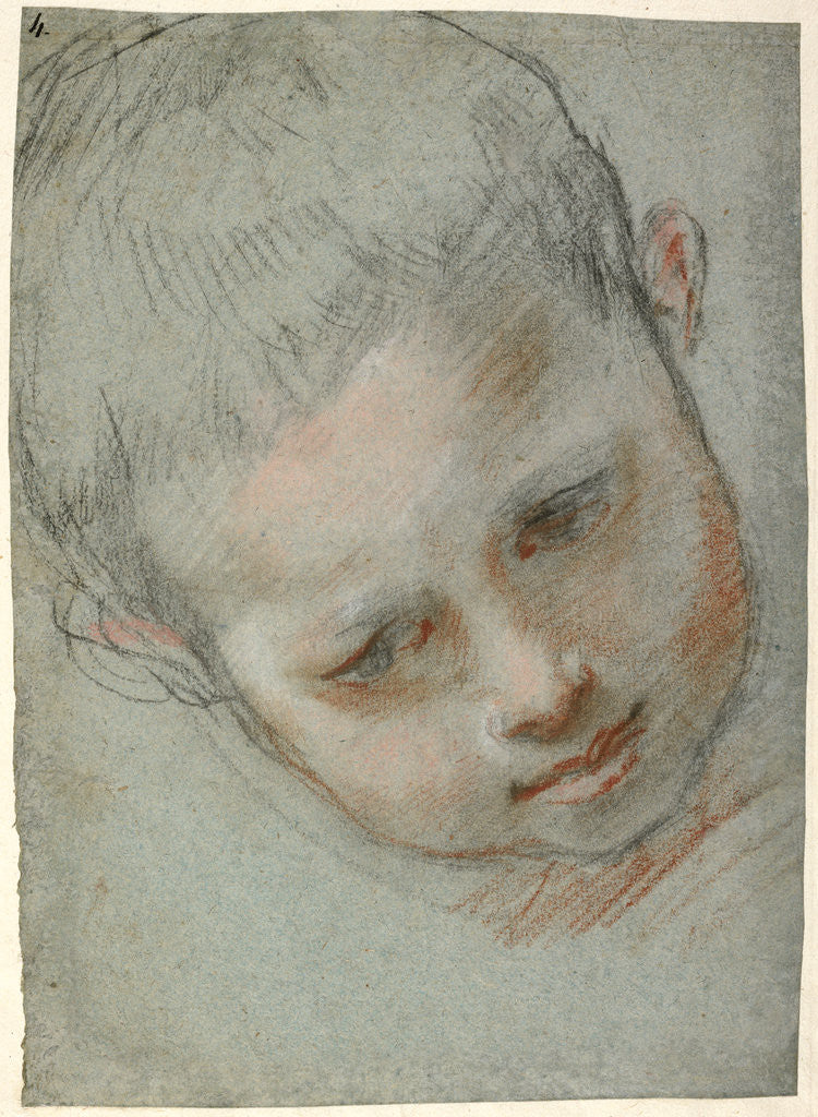 Head of a Boy (recto), Figure Studies (verso) by Federico Barocci