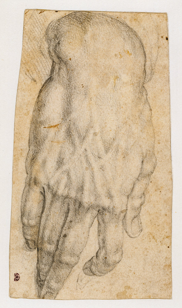 Detail of Study of a man's right hand (recto), Studies of four heads and of a nude figure seen from the rear (verso) by Agnolo Bronzino