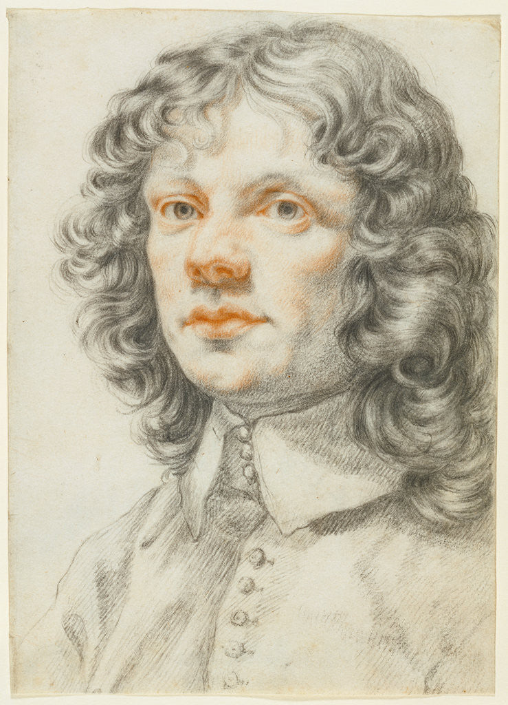 Detail of Portrait of a Man (recto), Portrait of a Man (accidental offset) (verso) by Filippo Baldinucci