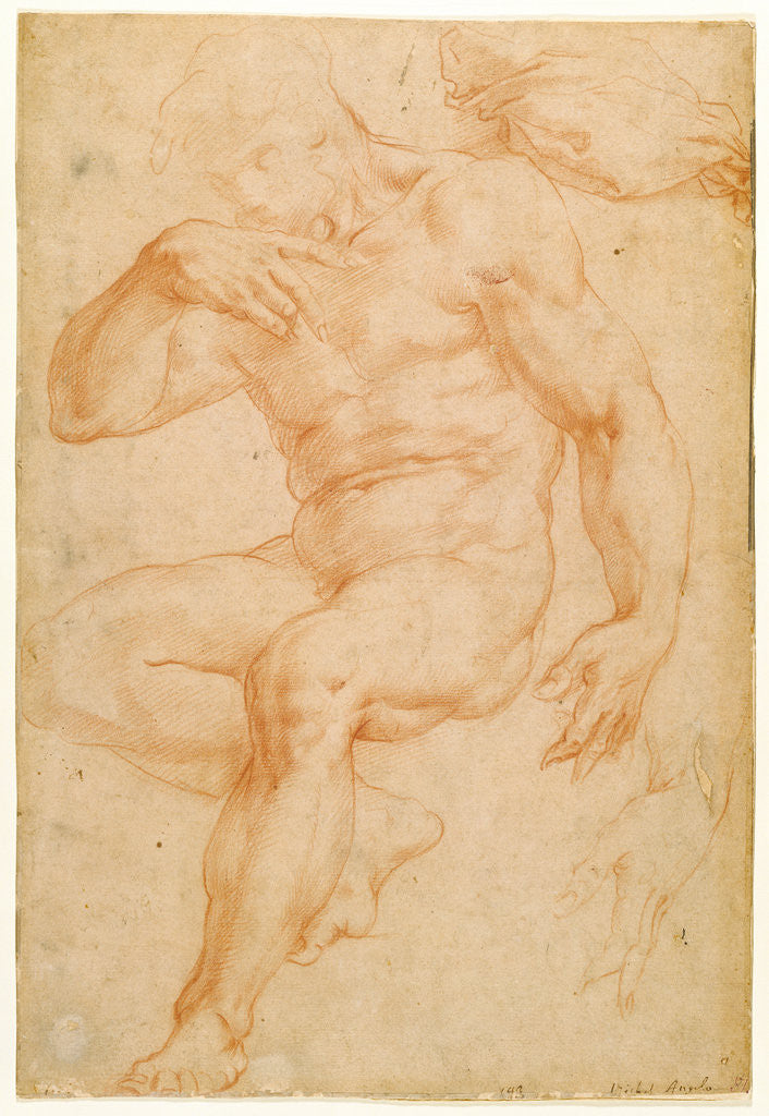 Detail of Studies of a Male Nude, a Drapery, and a Hand by Giorgio Vasari