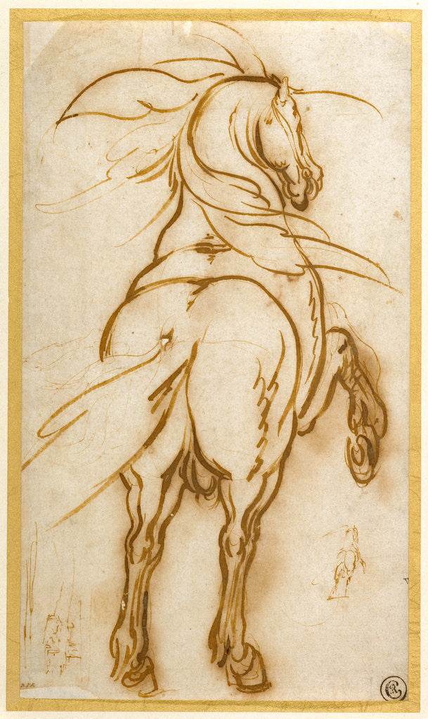 Detail of Study of a Rearing Horse by Jacques Callot