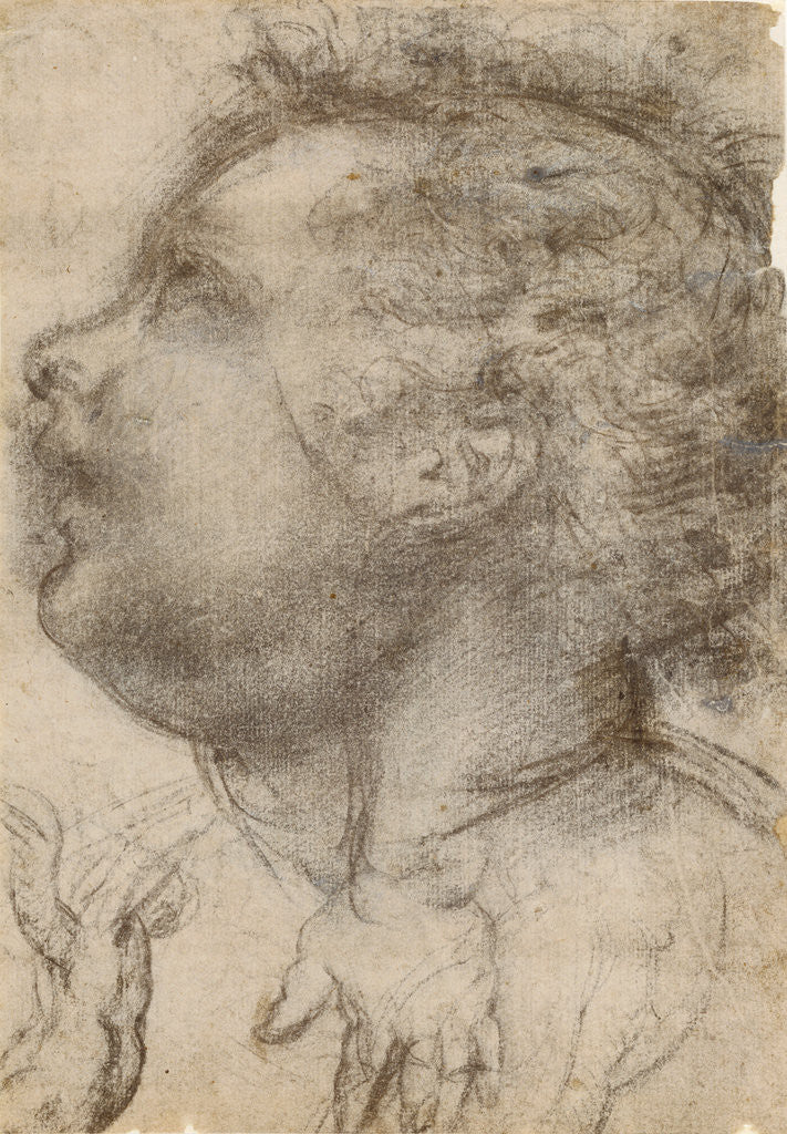 Detail of Head of a Child, an Angel and a Hand (recto), Male Figure (verso) by Fra Bartolommeo