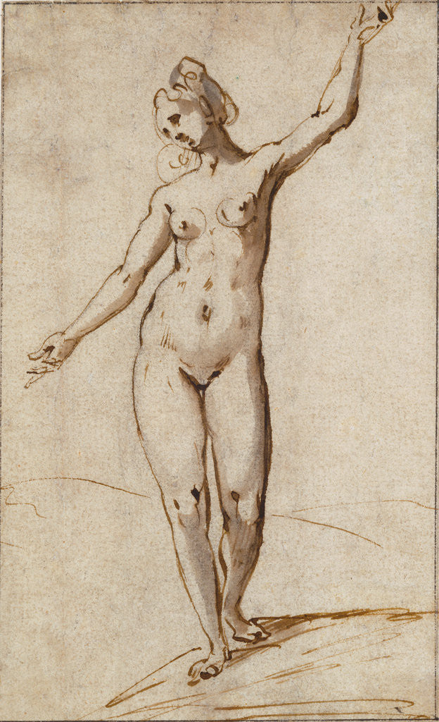 Detail of Female Nude by Karel van Mander