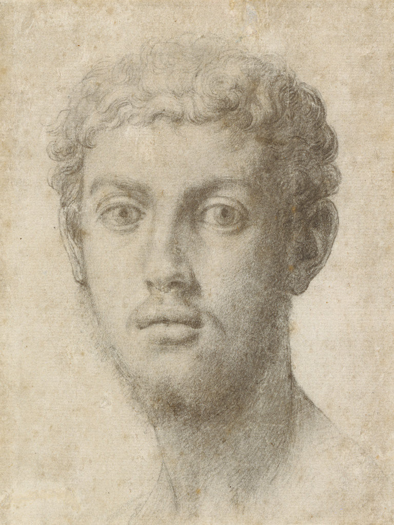 Detail of Head of a Man by Agnolo Bronzino