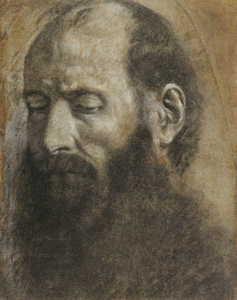 Detail of Saint Paul by Giovanni Girolamo Savoldo