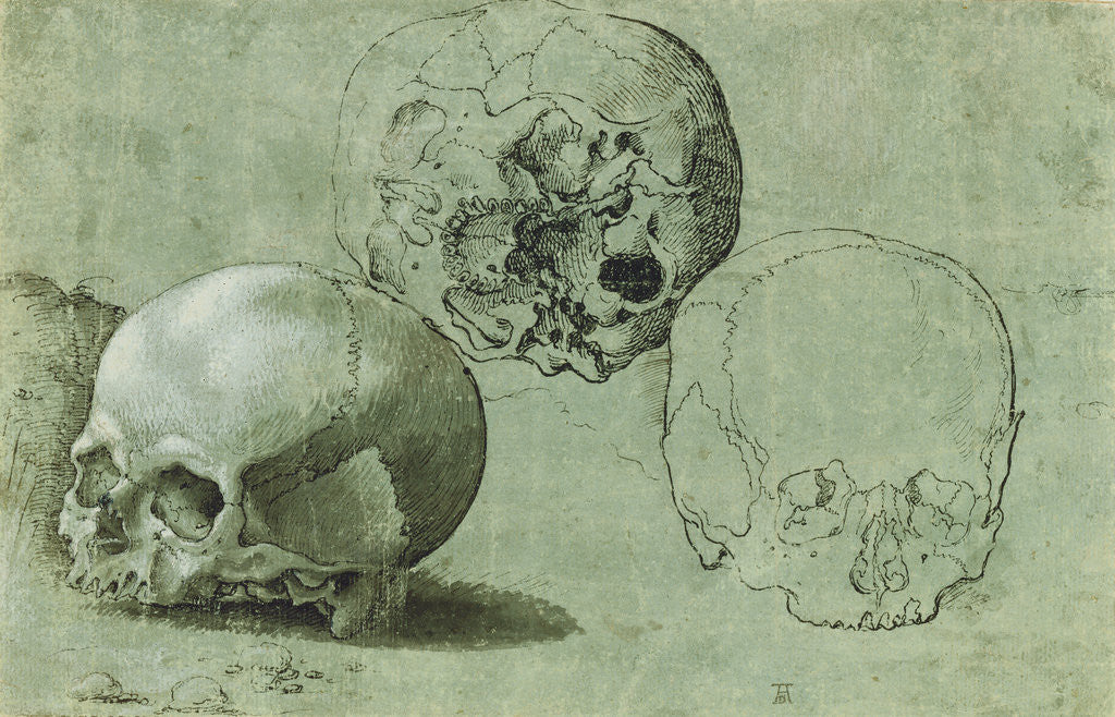 Detail of Study of Three Skulls (recto), Architectural Study (verso) by Anonymous
