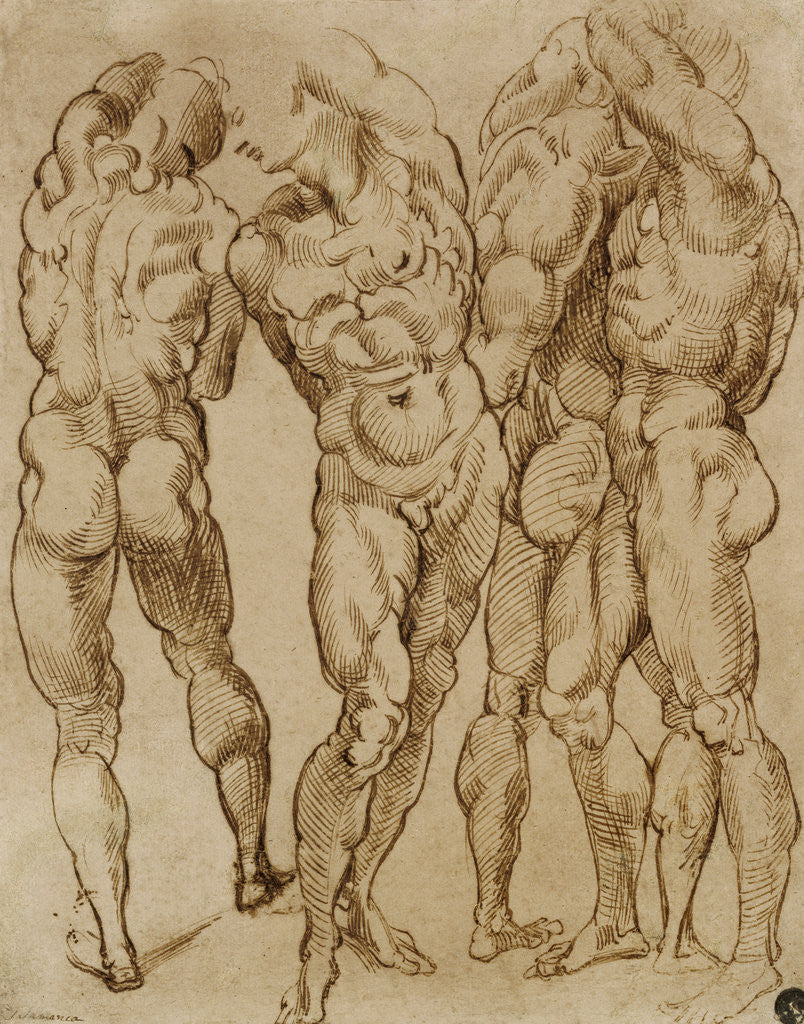 Detail of Nude Studies by Bartolomeo Passarotti
