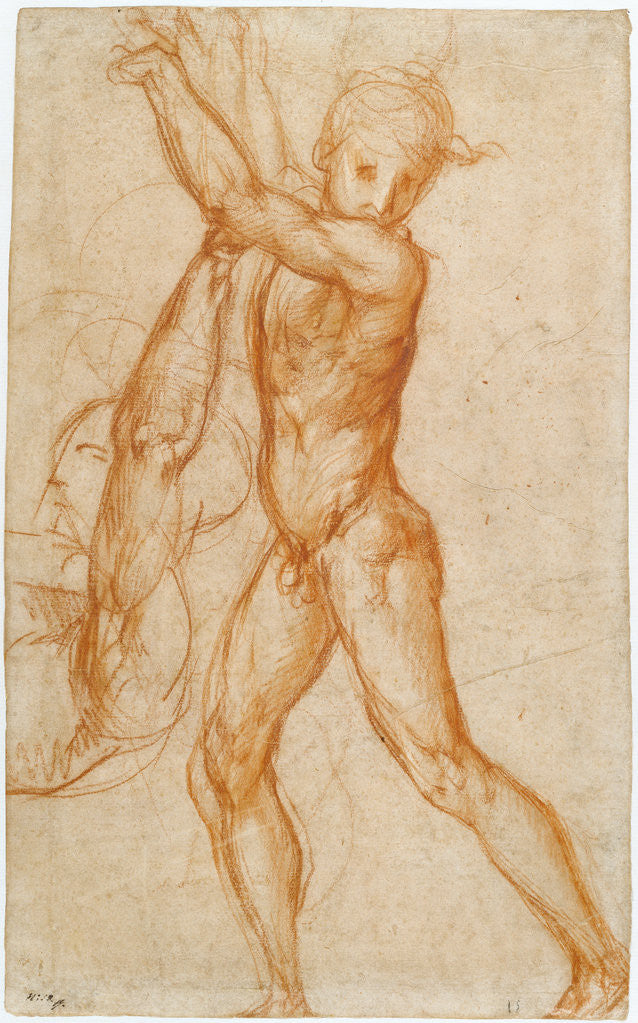 Detail of Study of a Nude Boy, Partial Figure Study (recto), Study of a Seated Man (verso) by Pontormo