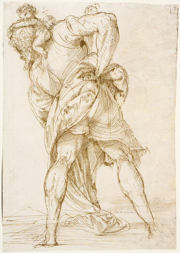 Detail of Saint Christopher by Domenico Campagnola