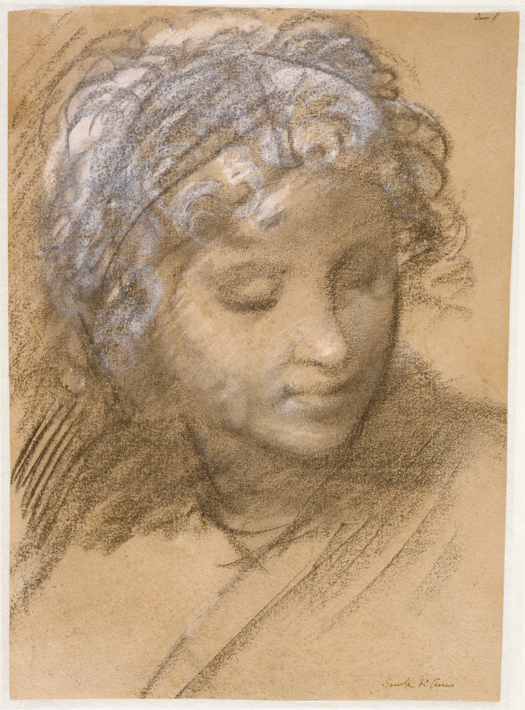 Detail of Head of a Female Figure (recto), Female Nude (verso) by Giulio Cesare Procaccini
