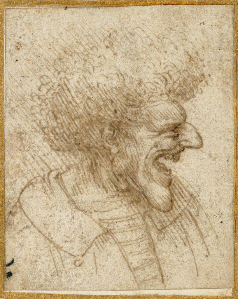 Detail of Caricature of a Man with Bushy Hair by Leonardo da Vinci