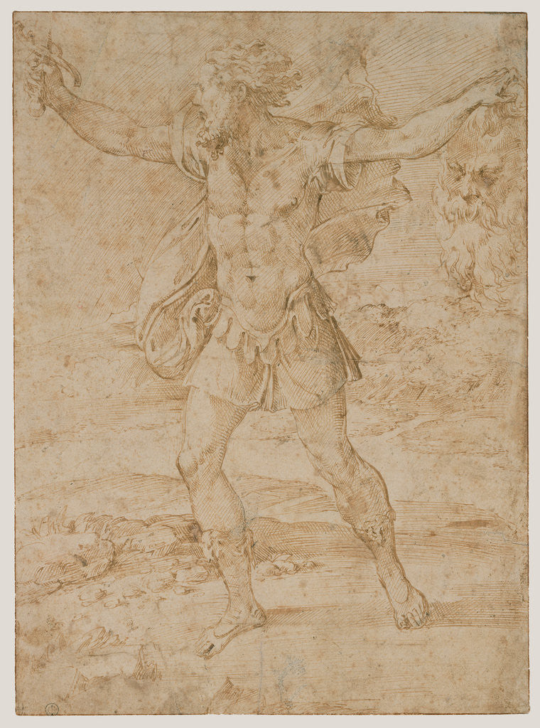 Detail of David with the Head of Goliath by Parmigianino