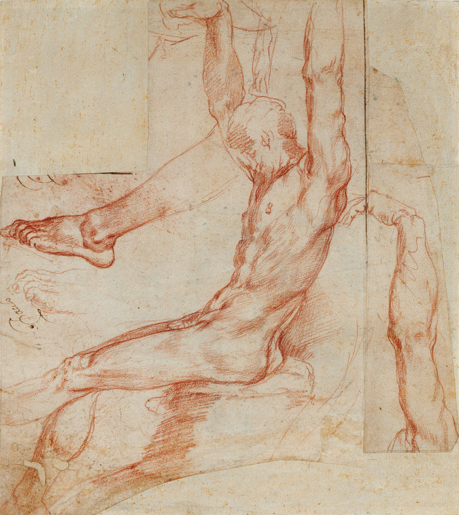 Detail of Study of a Man with Various Sketches (recto), Study of a Man's Draped Leg (verso) by Polidoro da Caravaggio