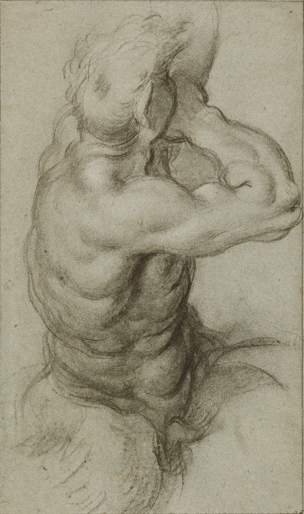 Detail of Study of Triton Blowing a Conch Shell (recto), Partial Study of an Arm (verso) by Agostino Carracci