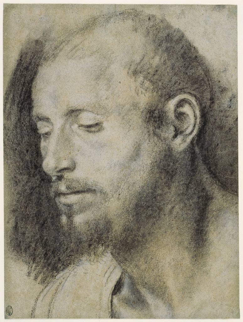 Detail of Study of the Head of a Bearded Man by Giovanni Girolamo Savoldo