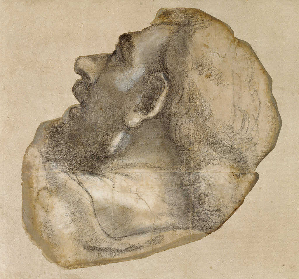 Detail of Cartoon for the Head of Saint James by Sebastiano del Piombo