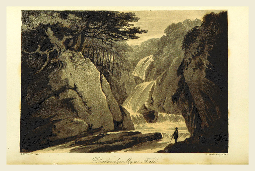 Detail of The Scenery of Wales, Dolmelynllyn Fall, UK, 19th century by Anonymous