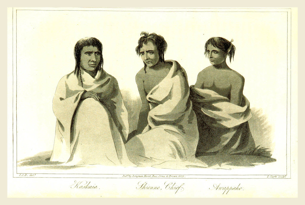 Detail of Shienne Chief, 1823, Awappaho, Kaskaia by Anonymous