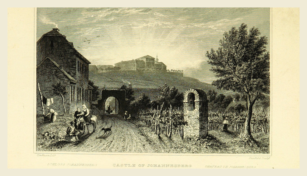 Detail of Castle of Johannesberg, Germany, Tombleson's Views of the Rhine, Tombleson's Views of the Rhine by Anonymous