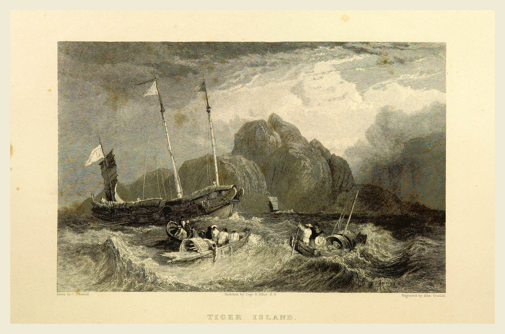 Detail of Tiger Island by Anonymous