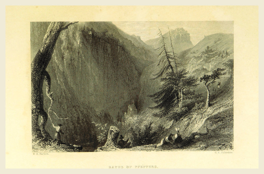 Detail of Baths of Pfeffers, Switzerland by W. H. Bartlett