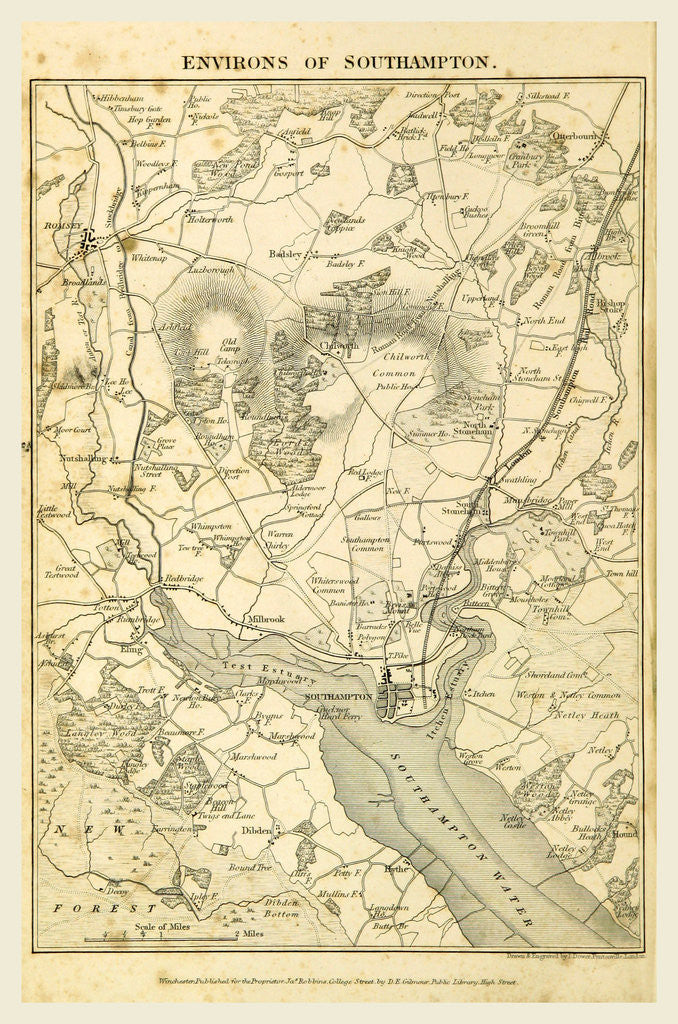 Detail of Map of the environs of Southampton, Hampshire, its past and present condition and future prospects by Anonymous