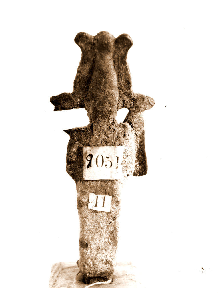 Detail of Campania Caserta Capua Museo Campano by Anonymous