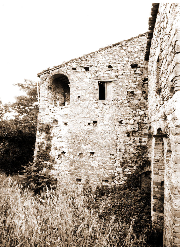 Detail of Madonna delle Grazie, Alanno, Abruzzo by Anonymous