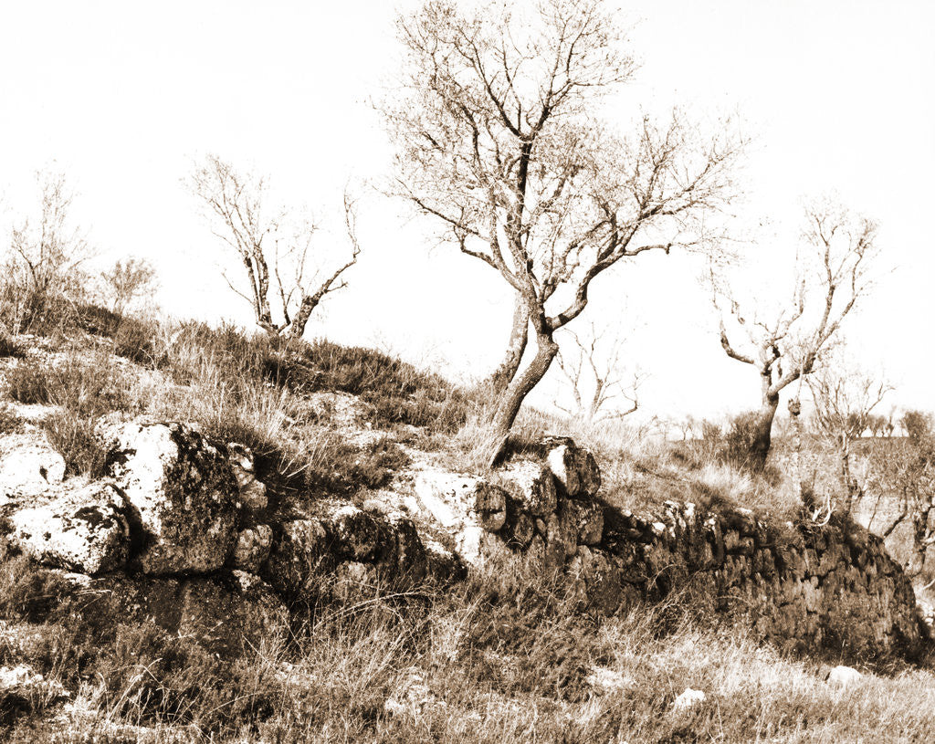 Detail of General views, Alba Fucens, Abruzzo by Anonymous
