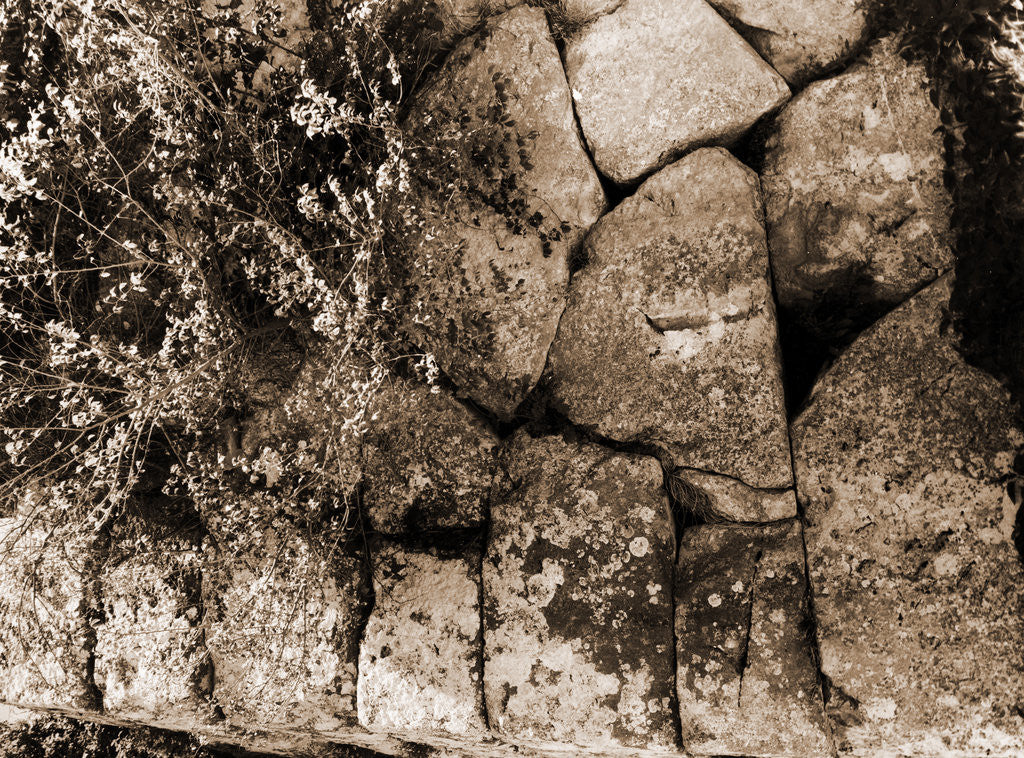Detail of General views, Alba Fucens, Abruzzo by Anonymous