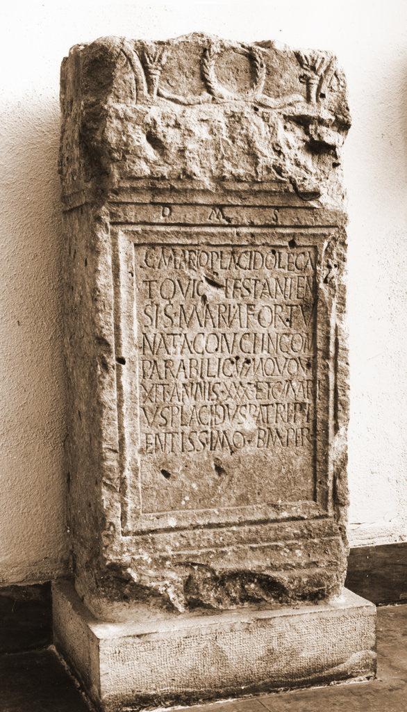 Detail of Museo Nazionale d'Abruzzo, L'Aquila, L'Aquila, Abruzzo by Anonymous