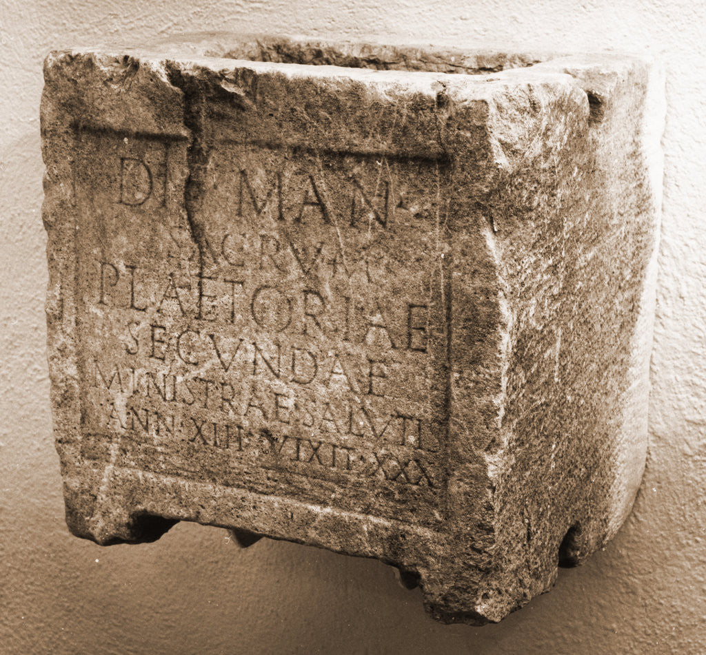 Detail of Museo Nazionale d'Abruzzo, L'Aquila, L'Aquila, Abruzzo by Anonymous
