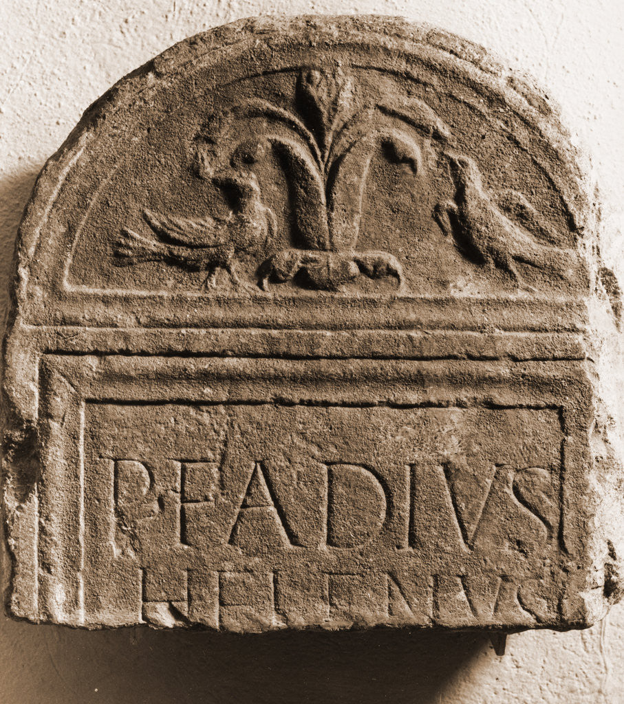 Detail of Museo Nazionale d'Abruzzo, L'Aquila, L'Aquila, Abruzzo by Anonymous