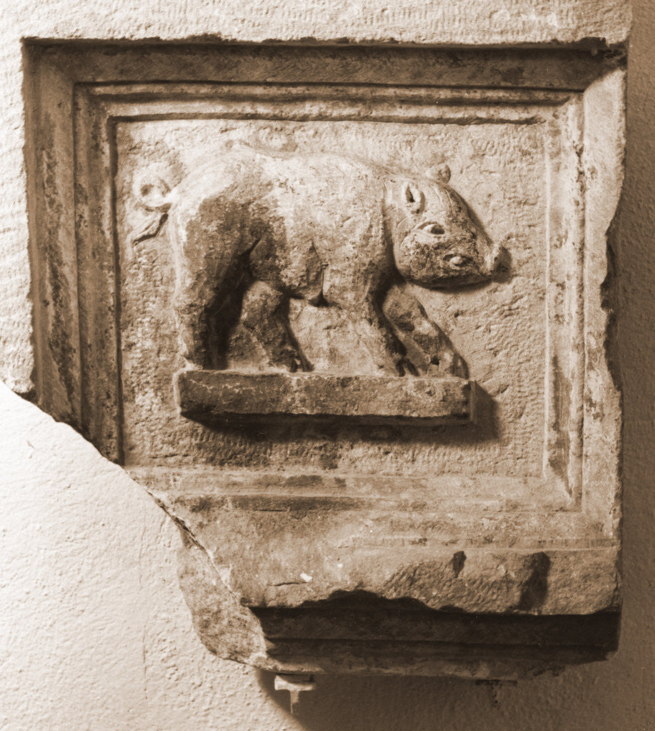 Detail of Museo Nazionale d'Abruzzo, L'Aquila, L'Aquila, Abruzzo by Anonymous