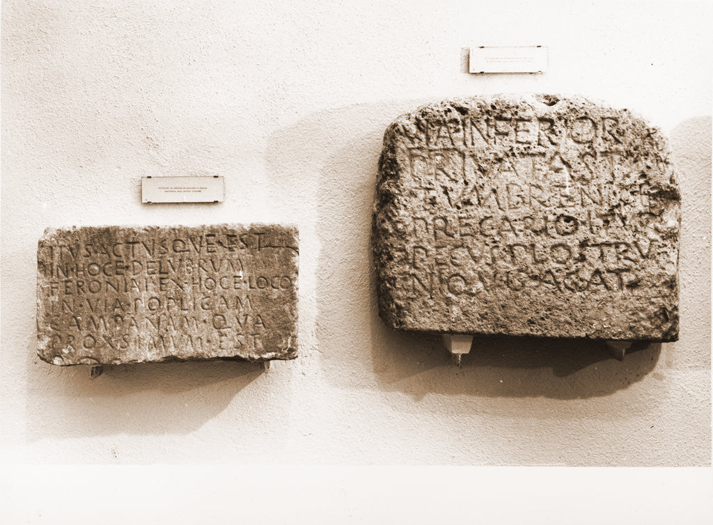 Detail of Museo Nazionale d'Abruzzo, L'Aquila, L'Aquila, Abruzzo by Anonymous