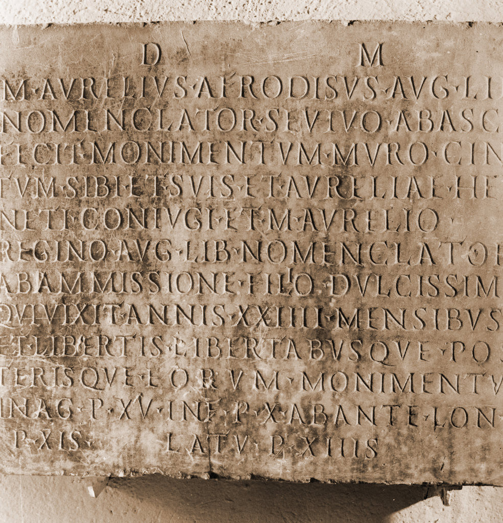 Detail of Museo Nazionale d'Abruzzo, L'Aquila, L'Aquila, Abruzzo by Anonymous