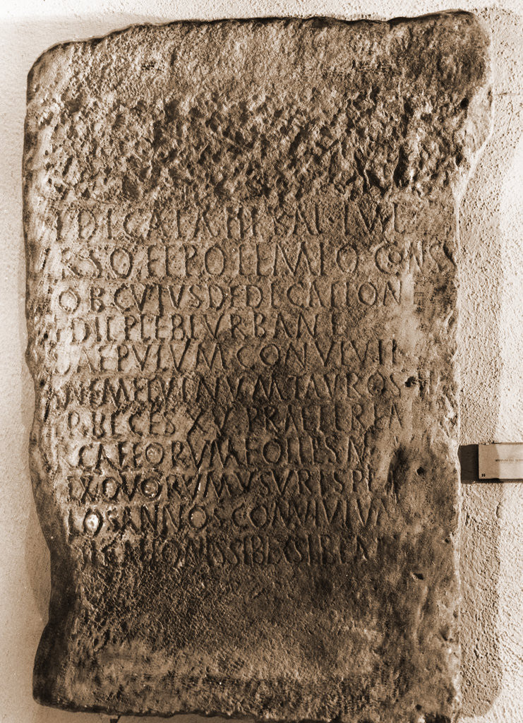Detail of Museo Nazionale d'Abruzzo, L'Aquila, L'Aquila, Abruzzo by Anonymous