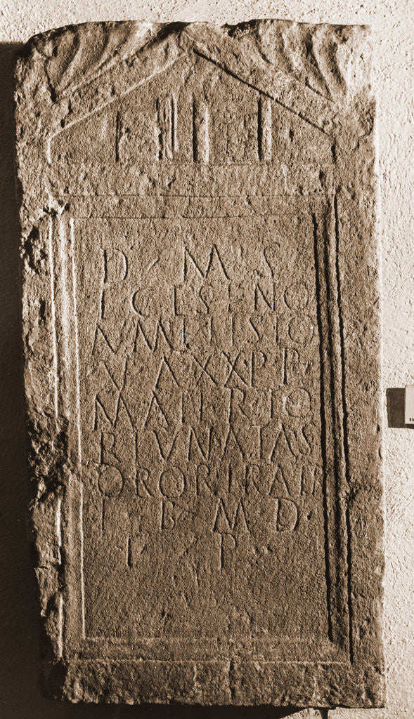 Detail of Museo Nazionale d'Abruzzo, L'Aquila, L'Aquila, Abruzzo by Anonymous