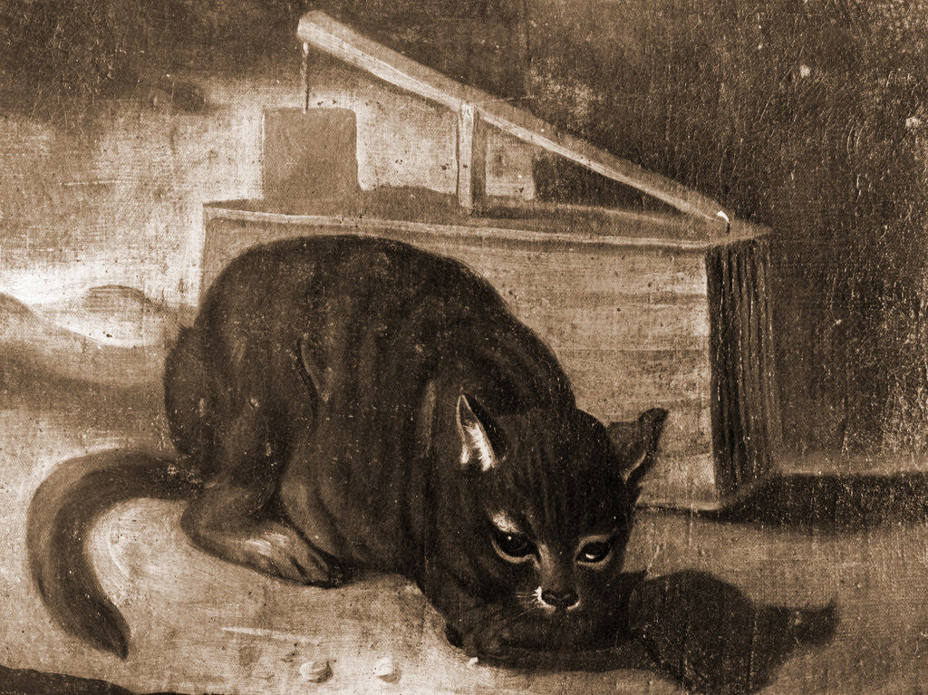 Detail of Museo Nazionale d'Abruzzo, L'Aquila, L'Aquila, Abruzzo by Anonymous