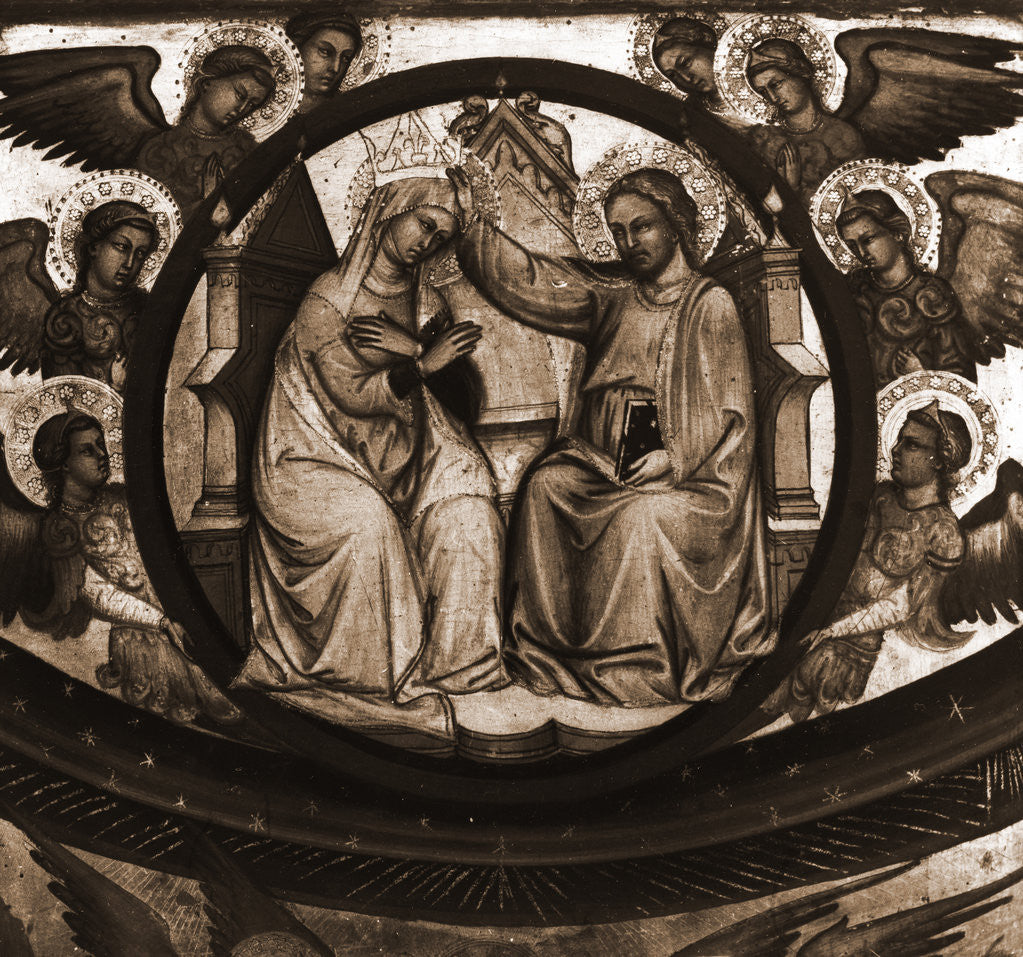 Detail of Museo Nazionale d'Abruzzo, L'Aquila, L'Aquila, Abruzzo by Anonymous