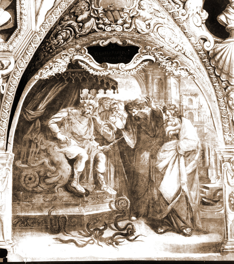 Detail of Collegiate complex (S. Bernardino), L'Aquila, L'Aquila, Abruzzo by Anonymous