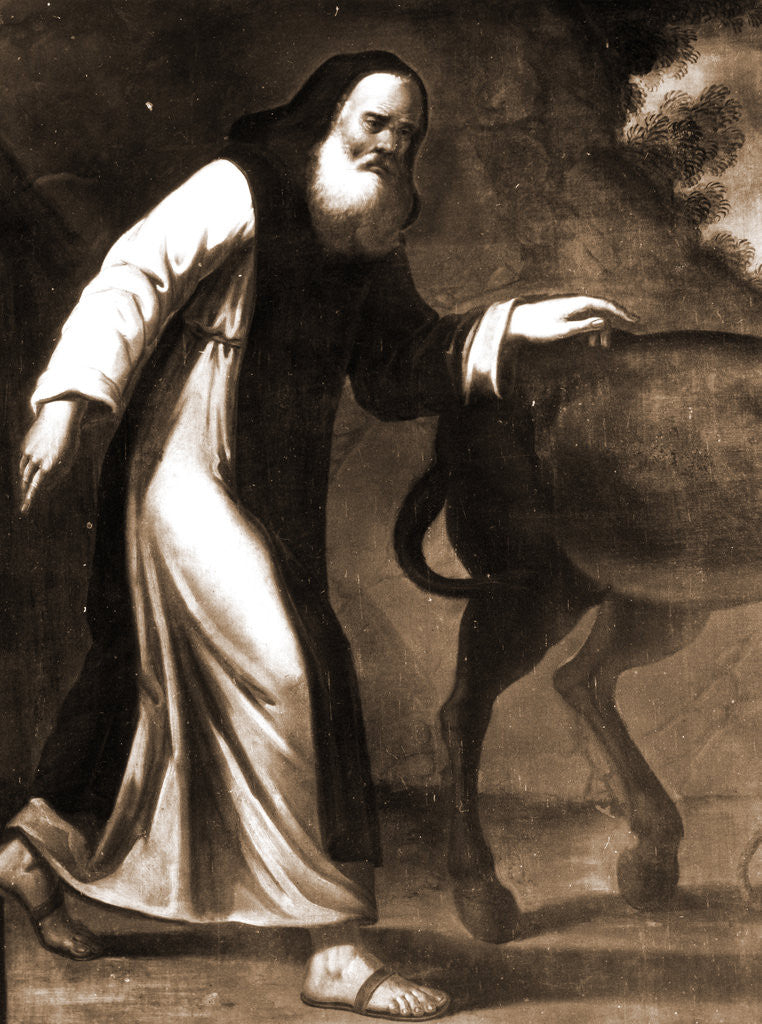 Detail of S. Maria di Collemaggio, L'Aquila, Abruzzo by Anonymous